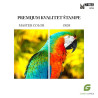 Epson T6641 black mastilo za štampače kompatibilno 70 ml Master Color